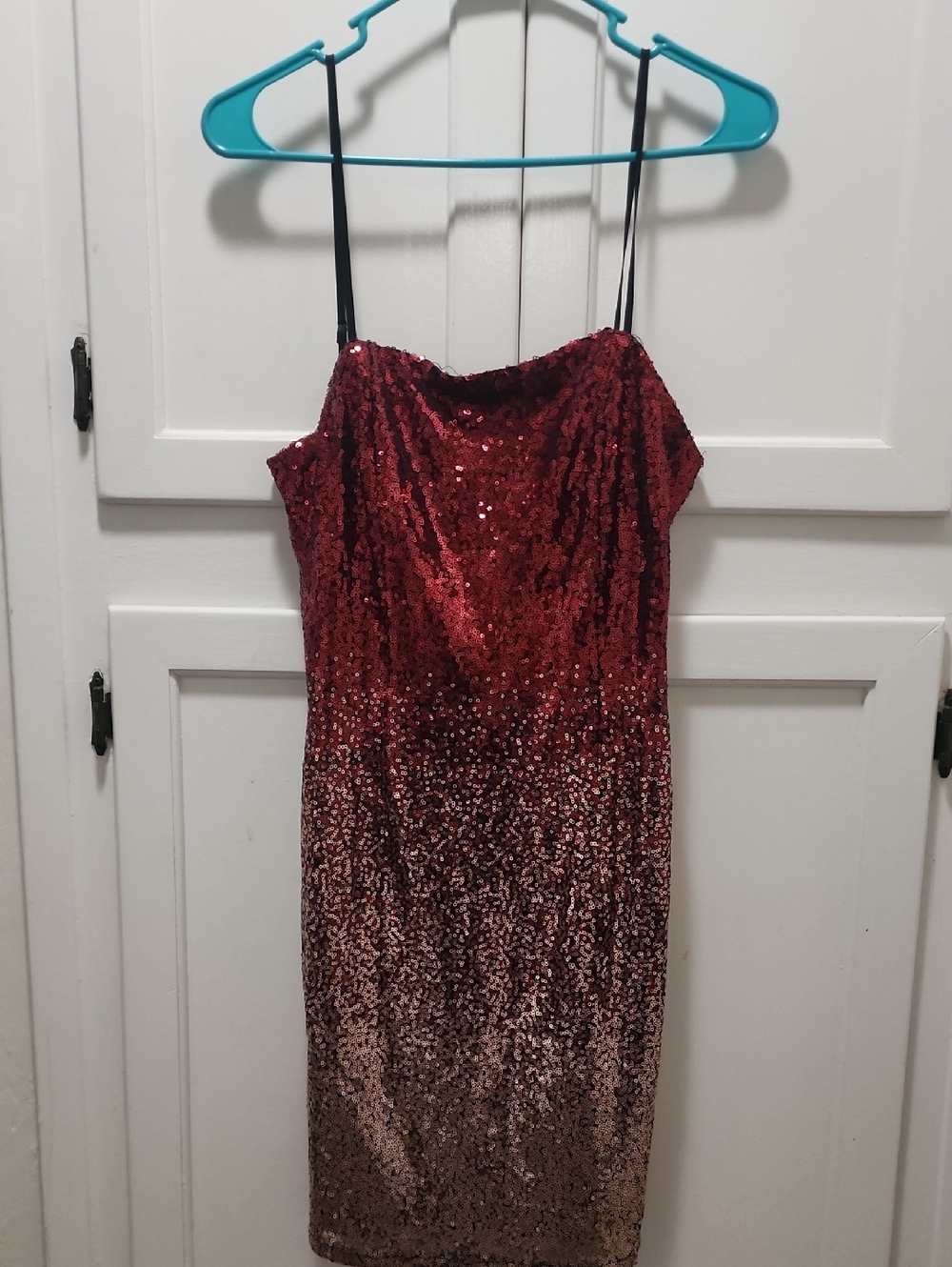 Shiny Dress